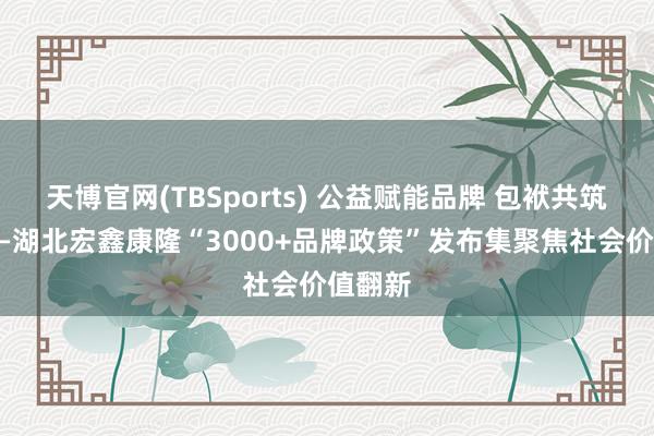 天博官网(TBSports) 公益赋能品牌 包袱共筑已往——湖北宏鑫康隆“3000+品牌政策”发布集聚焦社会价值翻新