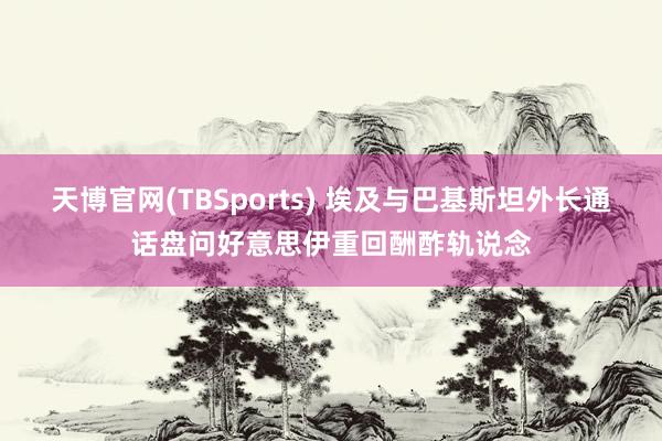 天博官网(TBSports) 埃及与巴基斯坦外长通话盘问好意思伊重回酬酢轨说念