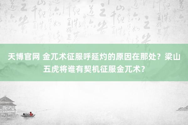 天博官网 金兀术征服呼延灼的原因在那处？梁山五虎将谁有契机征服金兀术？