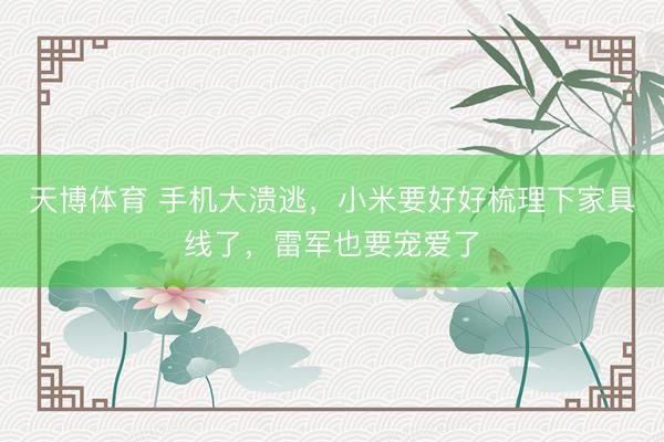 天博体育 手机大溃逃，小米要好好梳理下家具线了，雷军也要宠爱了