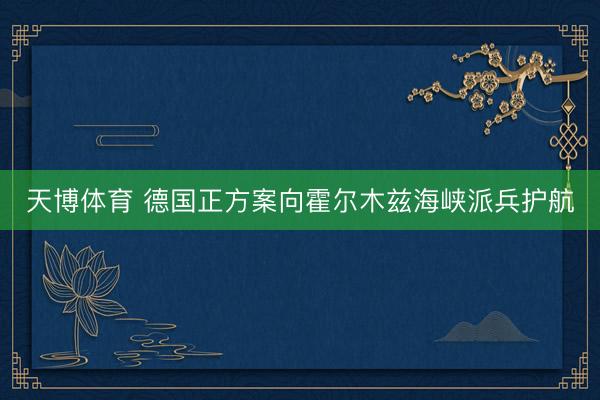 天博体育 德国正方案向霍尔木兹海峡派兵护航